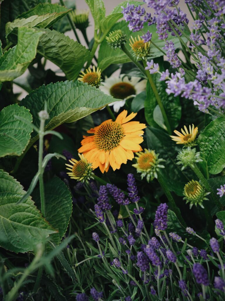 Close up shot of planters with flowers and plants inside