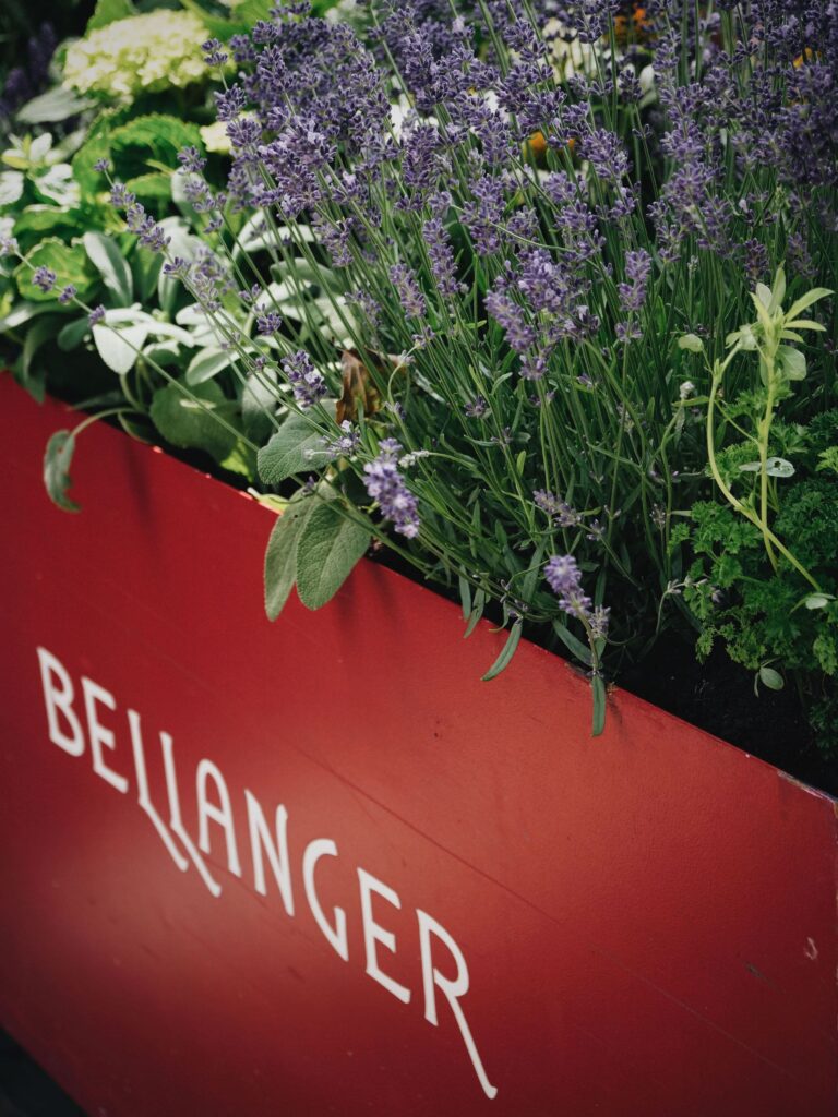 Bellanger planter