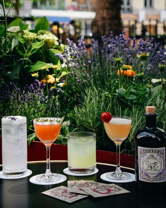 Inspired by unusual and refreshing floral and herbaceous combinations, our summer cocktail menu, created alongside Monkey 47, provides a perfect afternoon tipple.